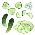 Fresh whole and sliced cucumber on white background Royalty Free Stock Photo