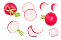 Set of fresh whole and sliced radish isolated on white background. Top view Royalty Free Stock Photo