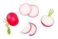 Set of fresh whole and sliced radish isolated on white background. Top view Royalty Free Stock Photo