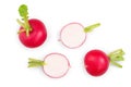 Set of fresh whole and sliced radish isolated on white background. Top view Royalty Free Stock Photo