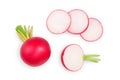 Set of fresh whole and sliced radish isolated on white background. Top view Royalty Free Stock Photo