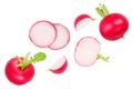 Set of fresh whole and sliced radish isolated on white background. Top view Royalty Free Stock Photo