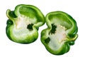 Set of fresh whole and sliced sweetgreen pepper isolated on white background. Top view