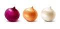 Set of Fresh Whole Yellow Red White Onion Bulbs Royalty Free Stock Photo