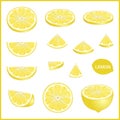 Set of fresh yellow lemon in various slice styles vector format