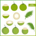 Set of fresh young coconut in vector format and various style