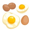 Set with fried, boiled eggs. Royalty Free Stock Photo