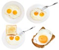 Set of fried eggs on white plate isolated Royalty Free Stock Photo