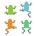 Set of frog in flat style, vector Royalty Free Stock Photo