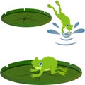 Set of frog on lily leaf resting different vector