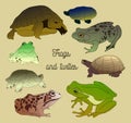 Set with frogs and turtless