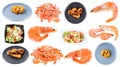 Set of frozen shrimps and dishes from shrimps Royalty Free Stock Photo