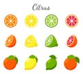 Set of fruit and citrus icons. Orange, grapefruit, lime and lemon. Whole fruit, half cut and slices. Collection in a flat design. Royalty Free Stock Photo