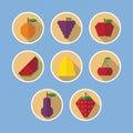 Set of fruit flat icons with long shadows Royalty Free Stock Photo