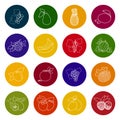 Set Fruit Icons Royalty Free Stock Photo