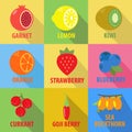 Set of fruit icons in flat design with long shadows Royalty Free Stock Photo