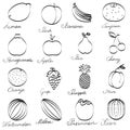 Set fruit icons hand-drawn. Monochrome Collection with inscriptions isolated on a white background. Royalty Free Stock Photo