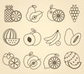 Set of 12 fruit icons