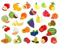 Set of fruit illustration.Fruit icons.