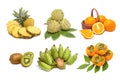 Set of fruit isolated Royalty Free Stock Photo