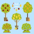 Set of fruit trees. Vector flat illustration.