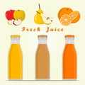 The set fruits Royalty Free Stock Photo