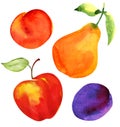 Set of fruits. Apple, pear, plum and apricot