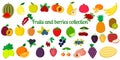 Set of fruits and berries collection, mega icon set of forty six elements on white background. For your design of cards