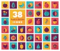 Set of Fruits and Berries icons