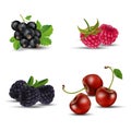 Set of fruits - blackcurrant, raspberry, blackberry and cherry