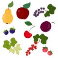 Set of fruits Royalty Free Stock Photo