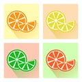 Set of fruits, colorful citrus icons. Vector