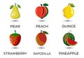 Set of fruits. Different colorful fruits. Fresh food, healthy eating concept.