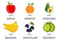 Set of fruits. Different colorful fruits. Fresh food, healthy eating concept.