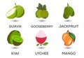 Set of fruits. Different colorful fruits. Fresh food, healthy eating concept.