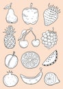 Set of fruits drawn a line on a white background. Vector sketch. Sketch line.