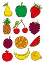 Set of fruits drawn a line on a white background. Vector sketch. Sketch line.