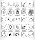 Set of fruits for fonts a to z icons