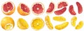 Set with fruits and fruit parts of grapefruit and orange in vector realistic graphic illsutration