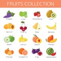 Set of fruits icons. Flat style design Royalty Free Stock Photo