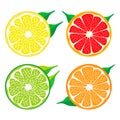 Set fruits Orange grapefruit lemon lime. Royalty Free Stock Photo