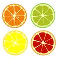 Set of fruits orange, lemon, lime, grapefruit. Cartoon fruits clipart collection.