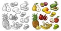 Set fruits. Pineapple, lime, banana, pomegranate, maracuya, avocado.