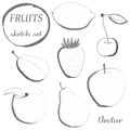 Set of fruits in sketch style. Freehand drawing Royalty Free Stock Photo