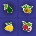 Set of fruits sticker on a pop art background