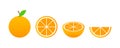 Set of fruits. Summer fruit collection. Fruits orange. Vegetarian and ecology food. Vector illustration