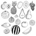 Set of fruits and their halves and slices, vector illustration, apricot, pineapple, kiwi, grapes, pomegranate, Fig, pear, orange,