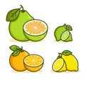 Set of fruits vector illustration. Royalty Free Stock Photo