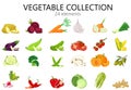 Set of fruits and vegetables, colorful vector icons in flat style, isolated Graphic design elements, collection of illustrations f Royalty Free Stock Photo