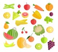 Set of Fruits Vegetables Vector Illustration.